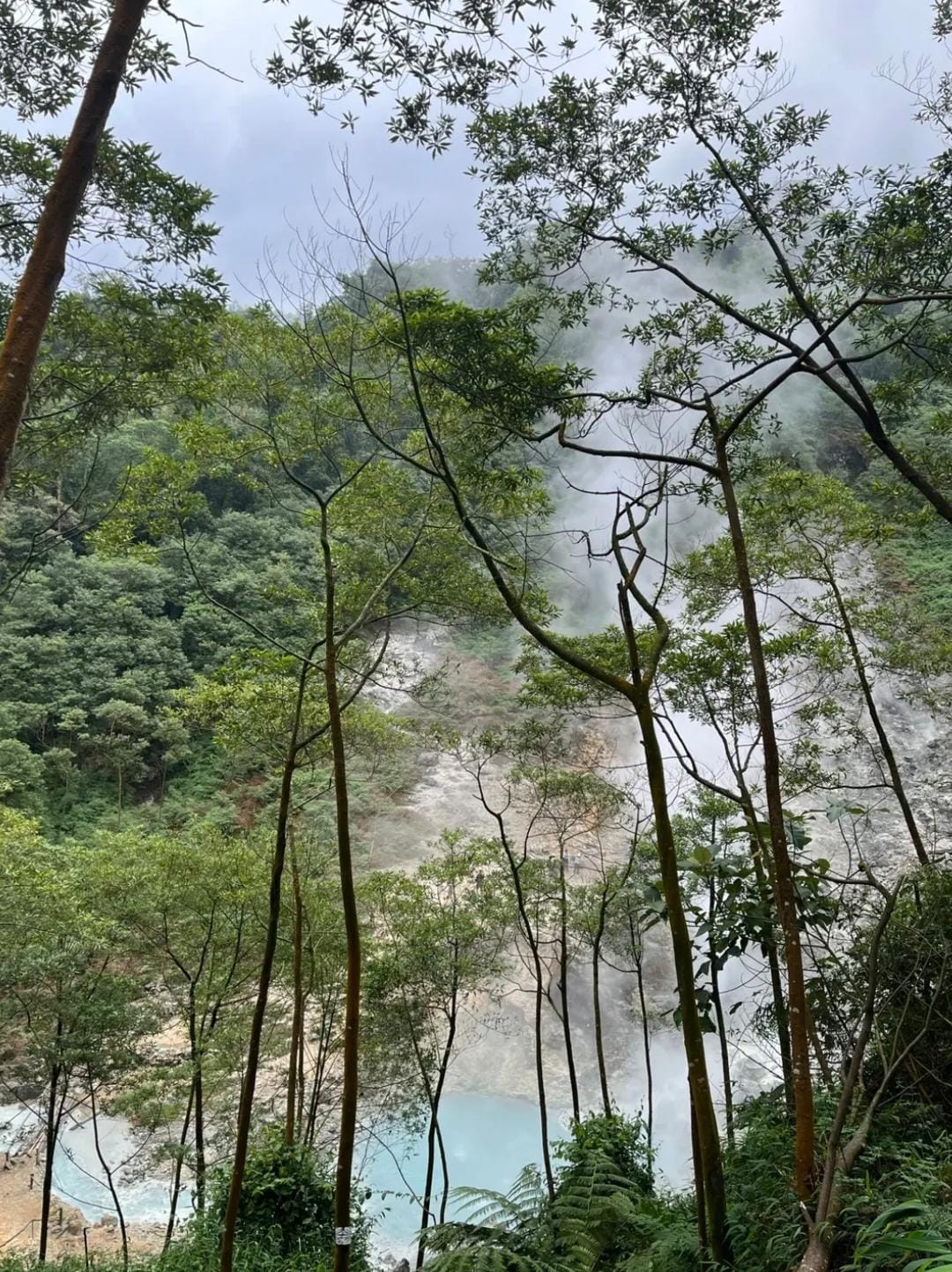 Pembangkit Listrik Panas Bumi di Kepahiang Ancaman Serius Bagi Jantung Bukit Barisan dan Ruang Hidup Rakyat