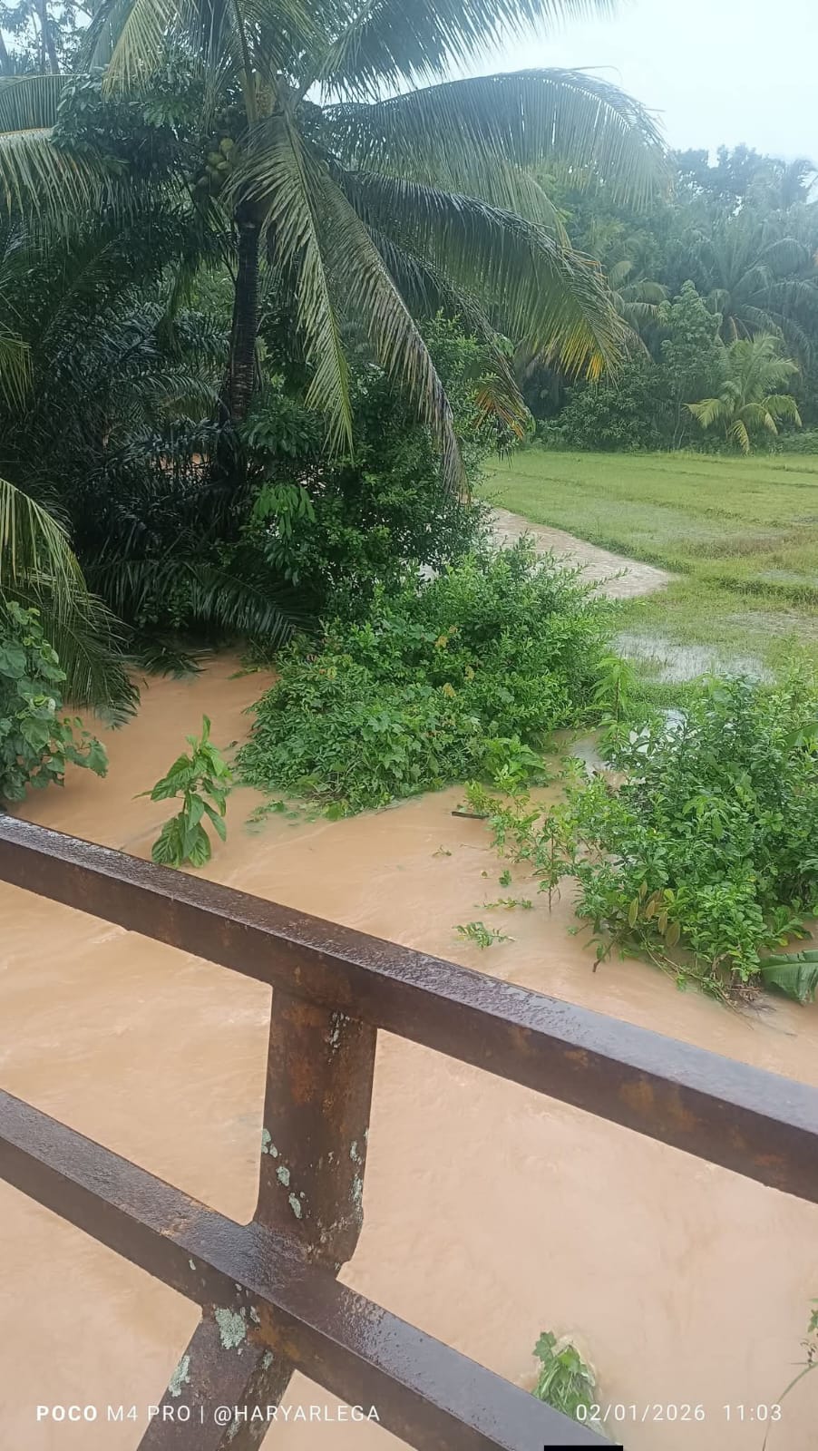 Intensitas Hujan Tinggi, Bupati Seluma Imbau Warga Waspada Banjir dan Longsor